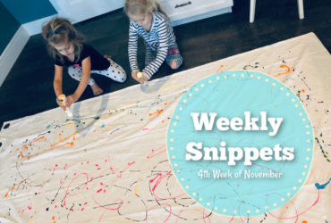 Weekly Snippets ~ 4th Week of November!