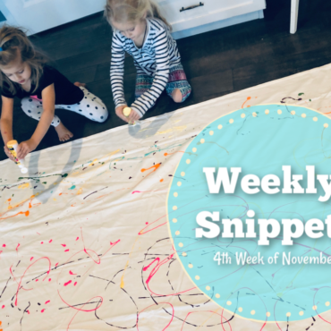 Weekly Snippets ~ 4th Week of November!