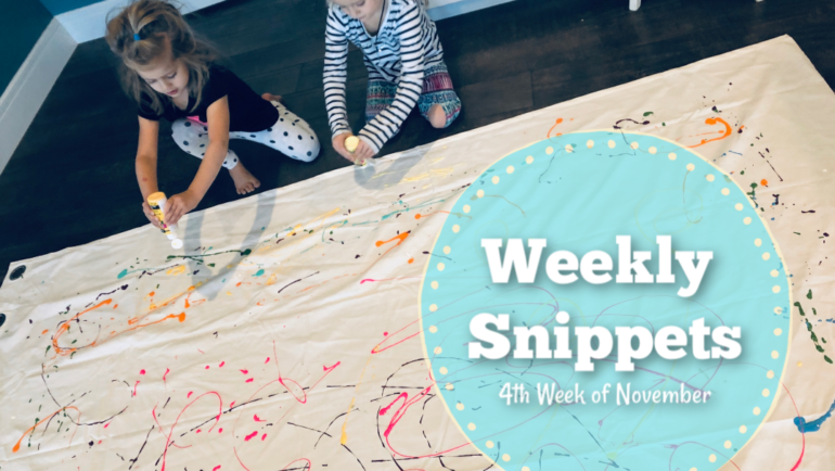 Weekly Snippets ~ 4th Week of November!