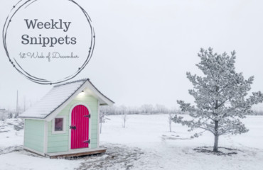 Weekly Snippets ~ 1st Week of December