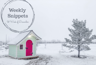 Weekly Snippets ~ 1st Week of December