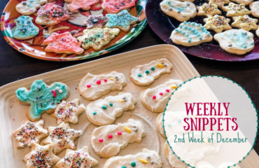 Weekly Snippets ~ 2nd Week of December