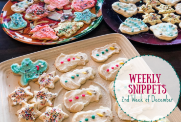 Weekly Snippets ~ 2nd Week of December