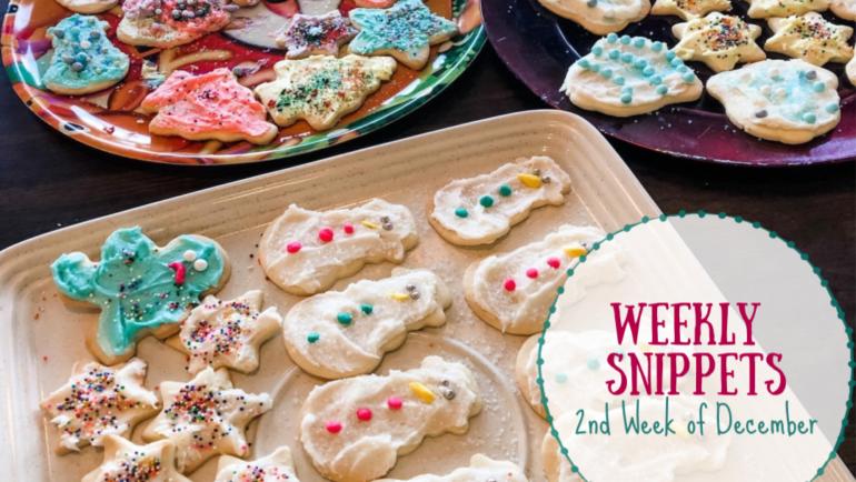 Weekly Snippets ~ 2nd Week of December